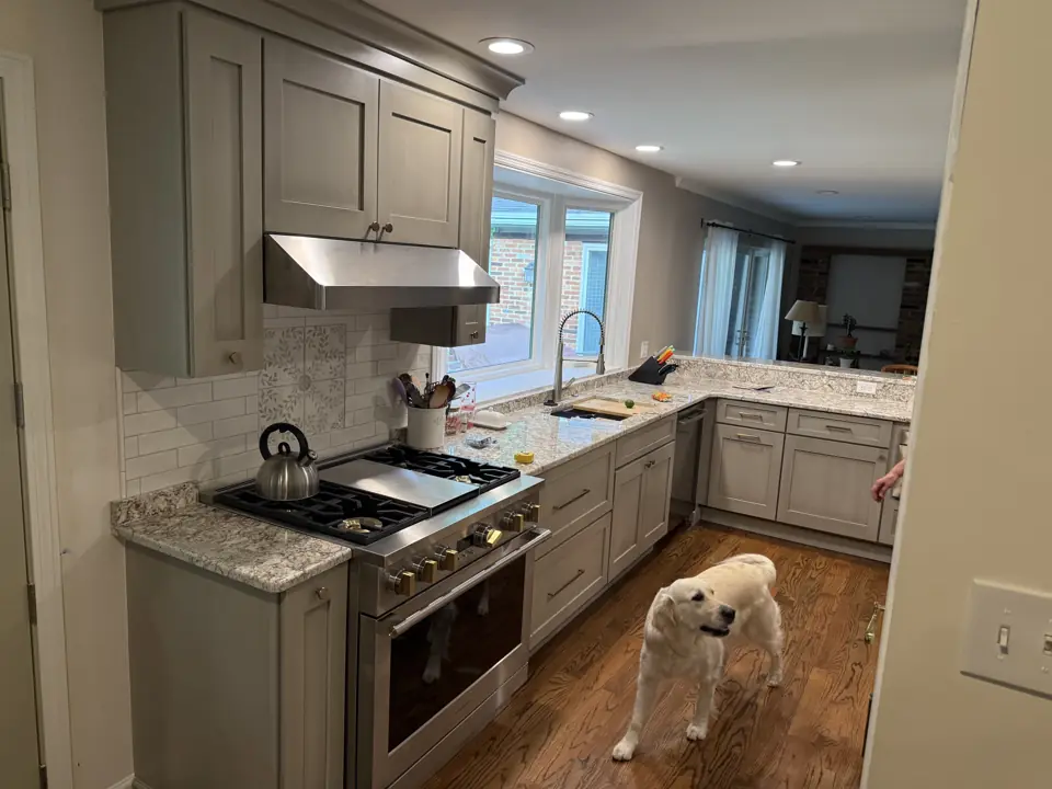 Grey painted kitchen cabinets with granite counters and a stainless range, hardwood floor, family dog in the foreground